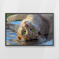 PB-060W040