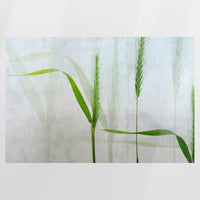 PO-090W060