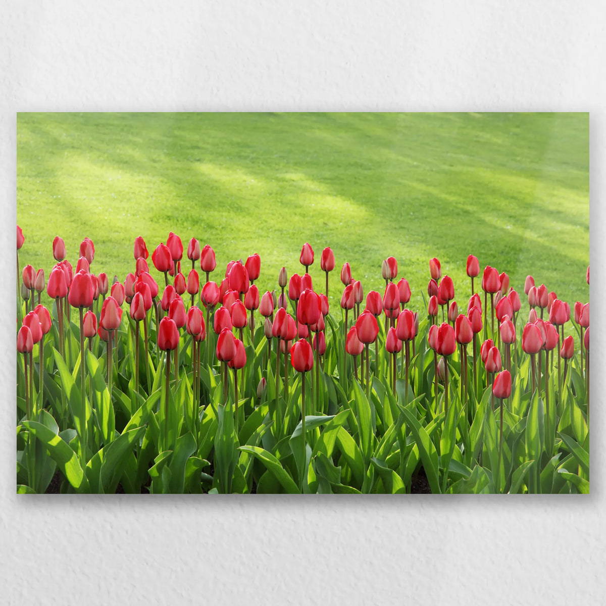 AL-030W020