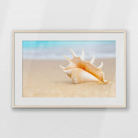 PNP093W062
