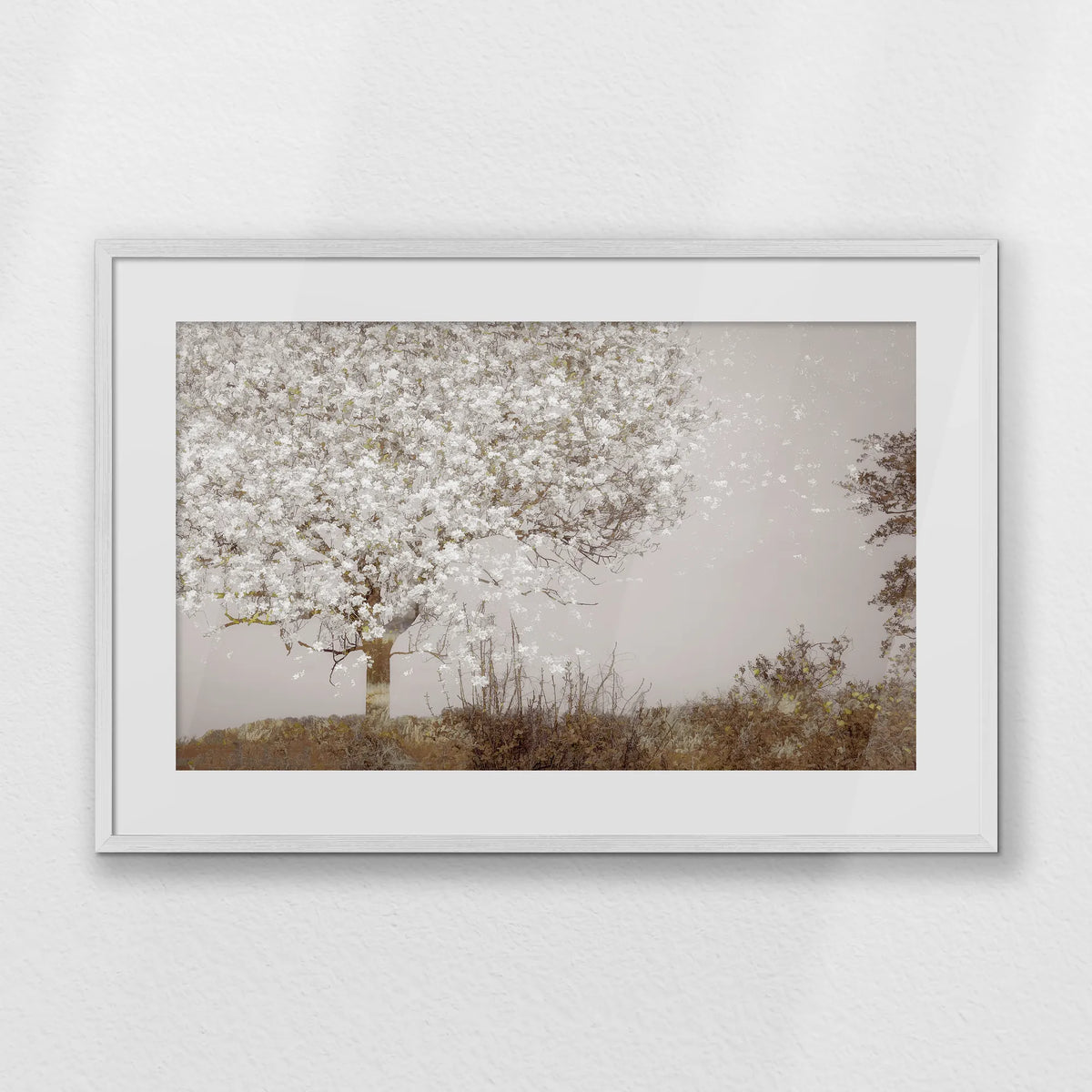 PWP093W062