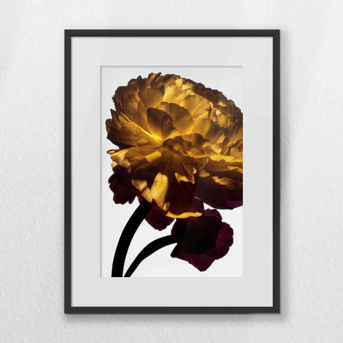 PBP030W040
