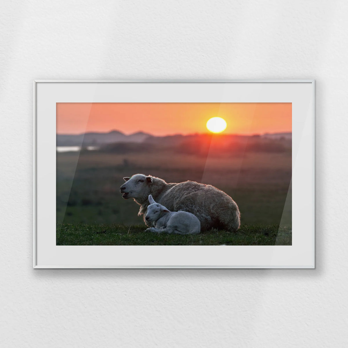 PSP093W062