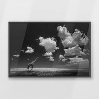 PK-093W062