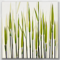LW-050W050