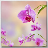 LW-040W040