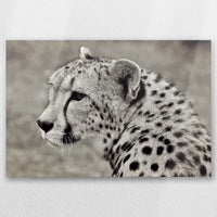 AC-045W030