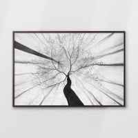 LWN120W080