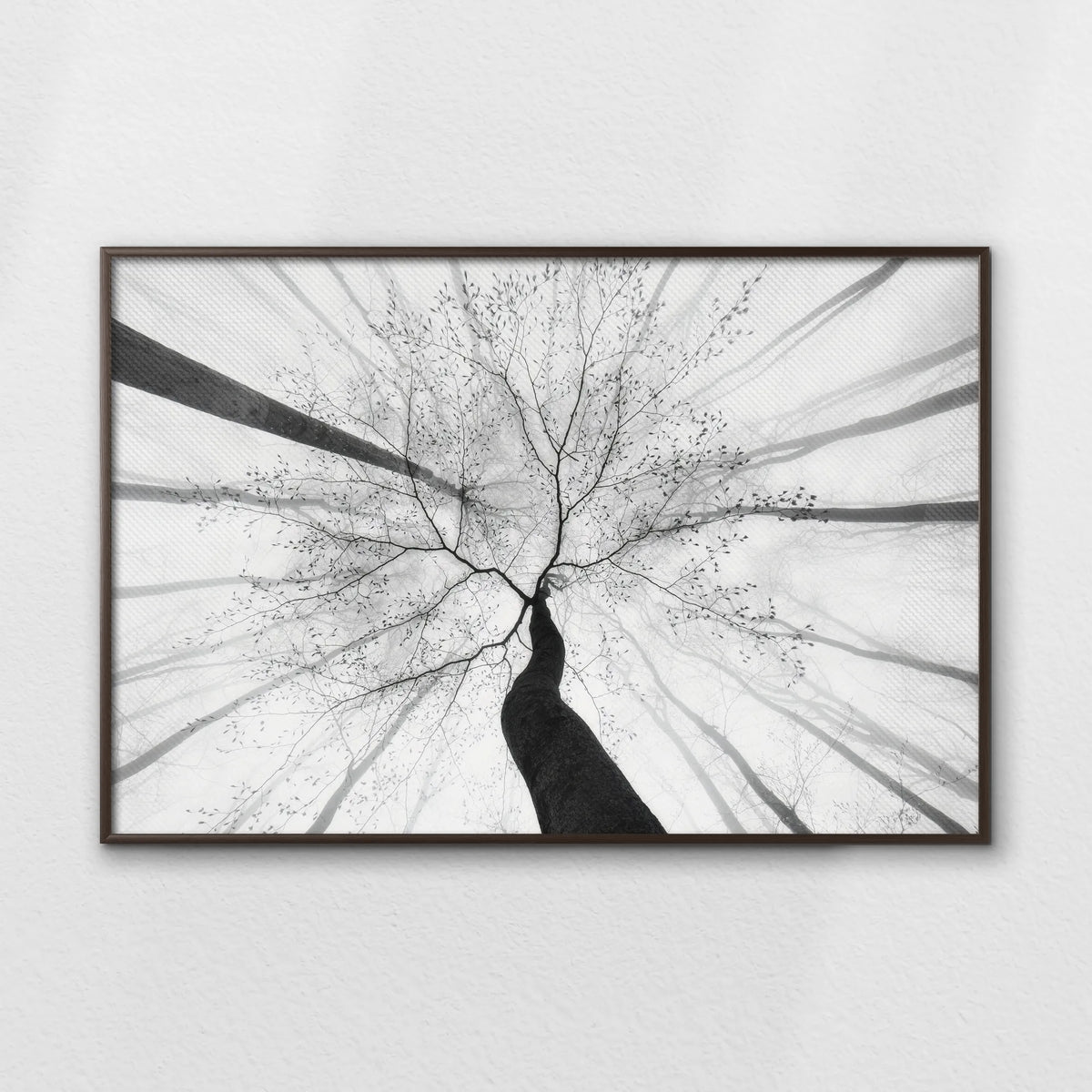 LWN120W080