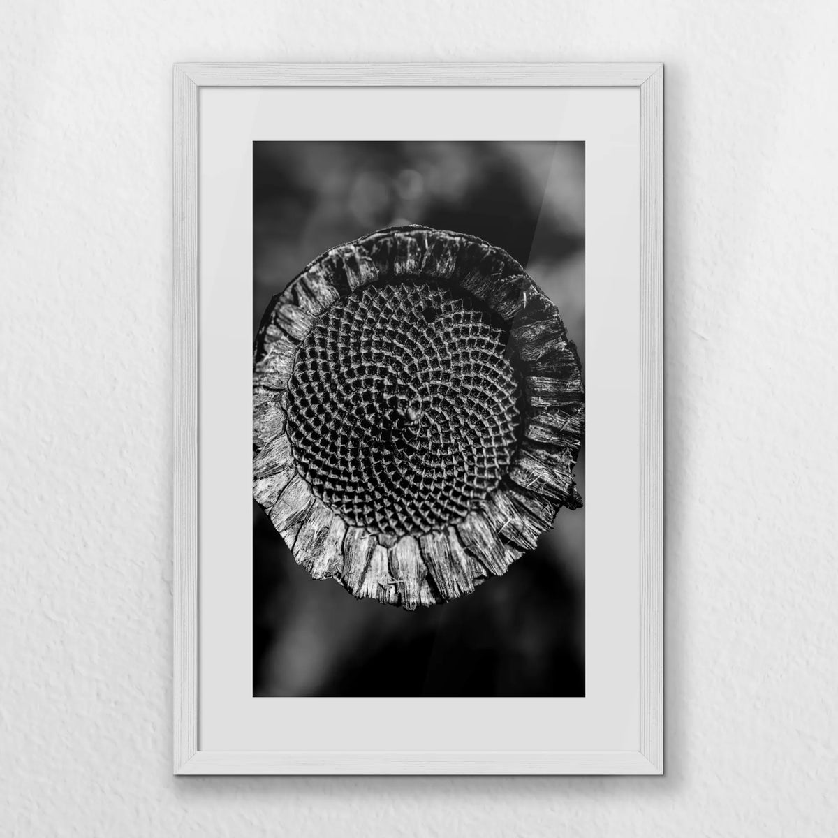 PWP040W060