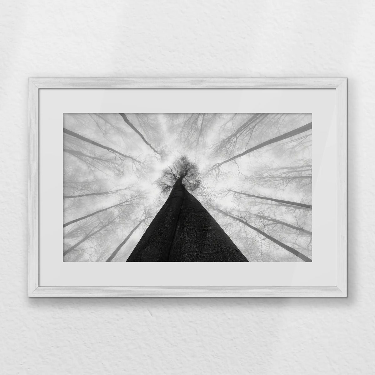 PWP060W040
