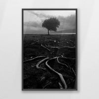 PK-062W093