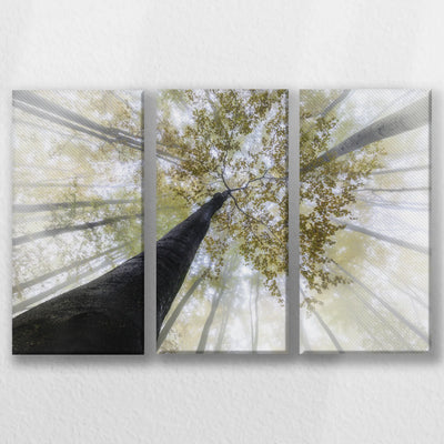 LW-060R040