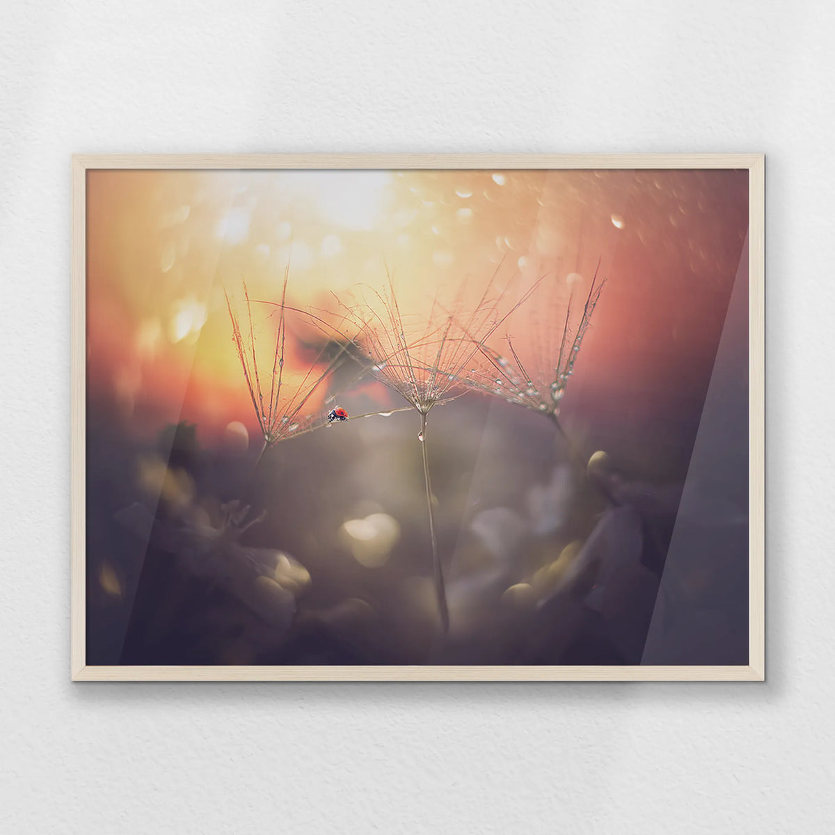 PN-080W060