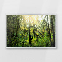 PS-093W062