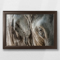 LWN030W020