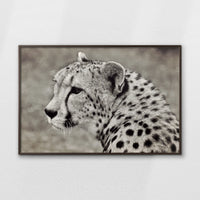 LWN120W080