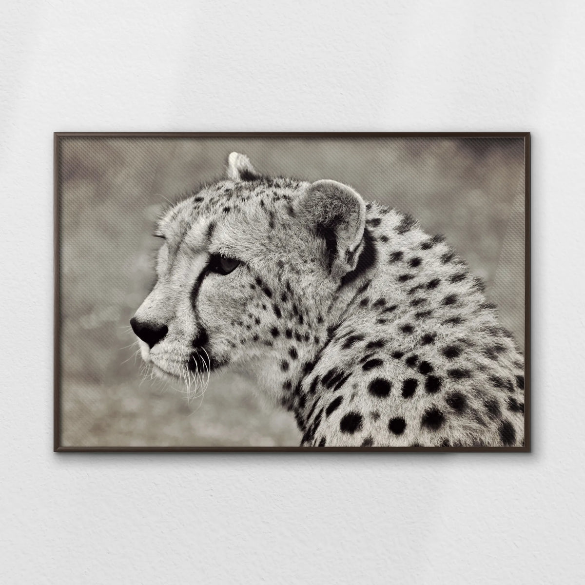 LWN120W080