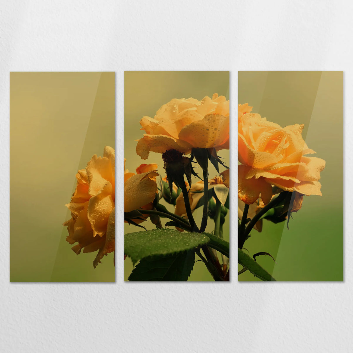AC-180R120