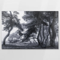 AC-075W050
