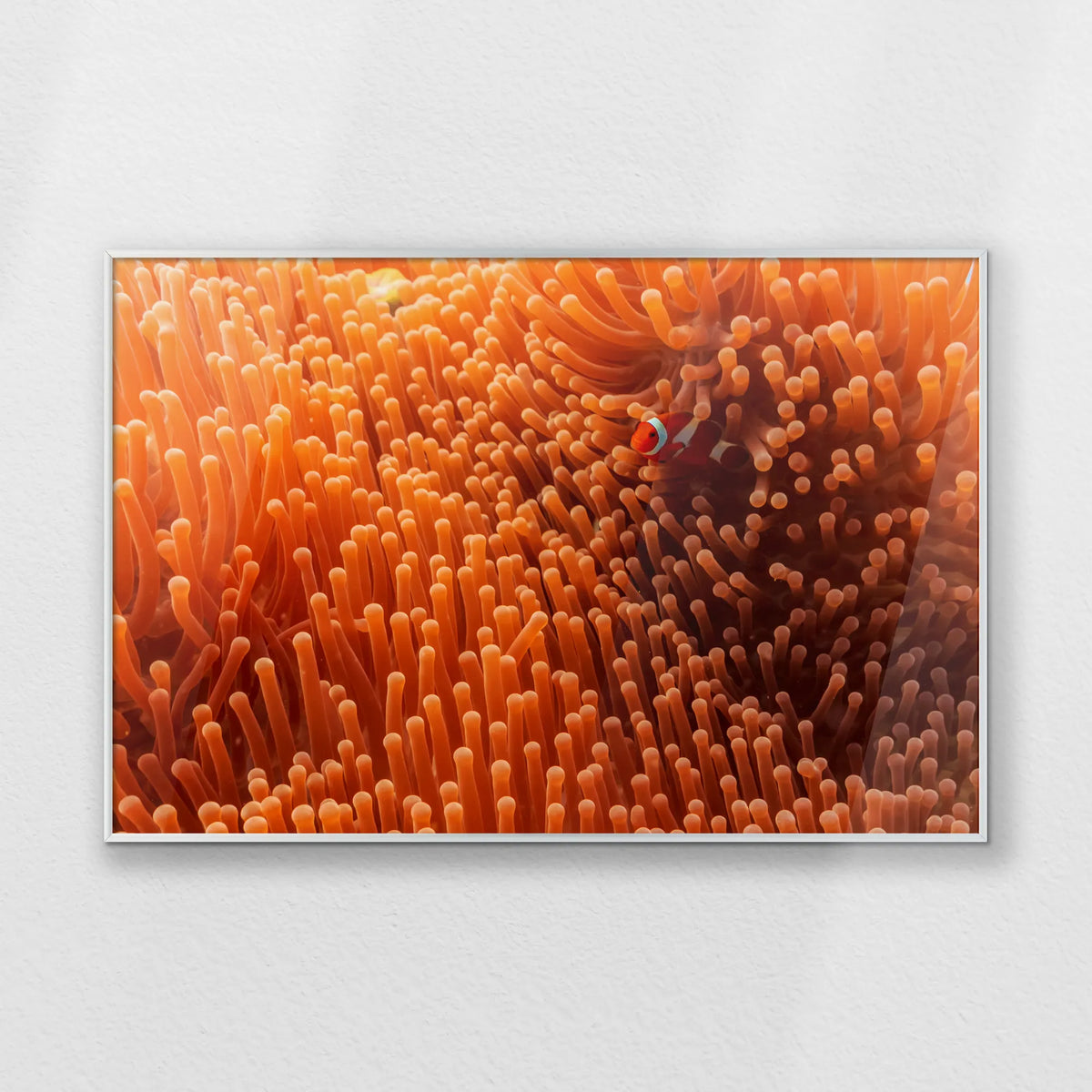 PS-093W062