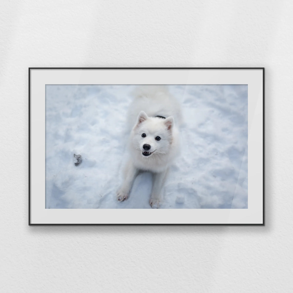 PBP120W080