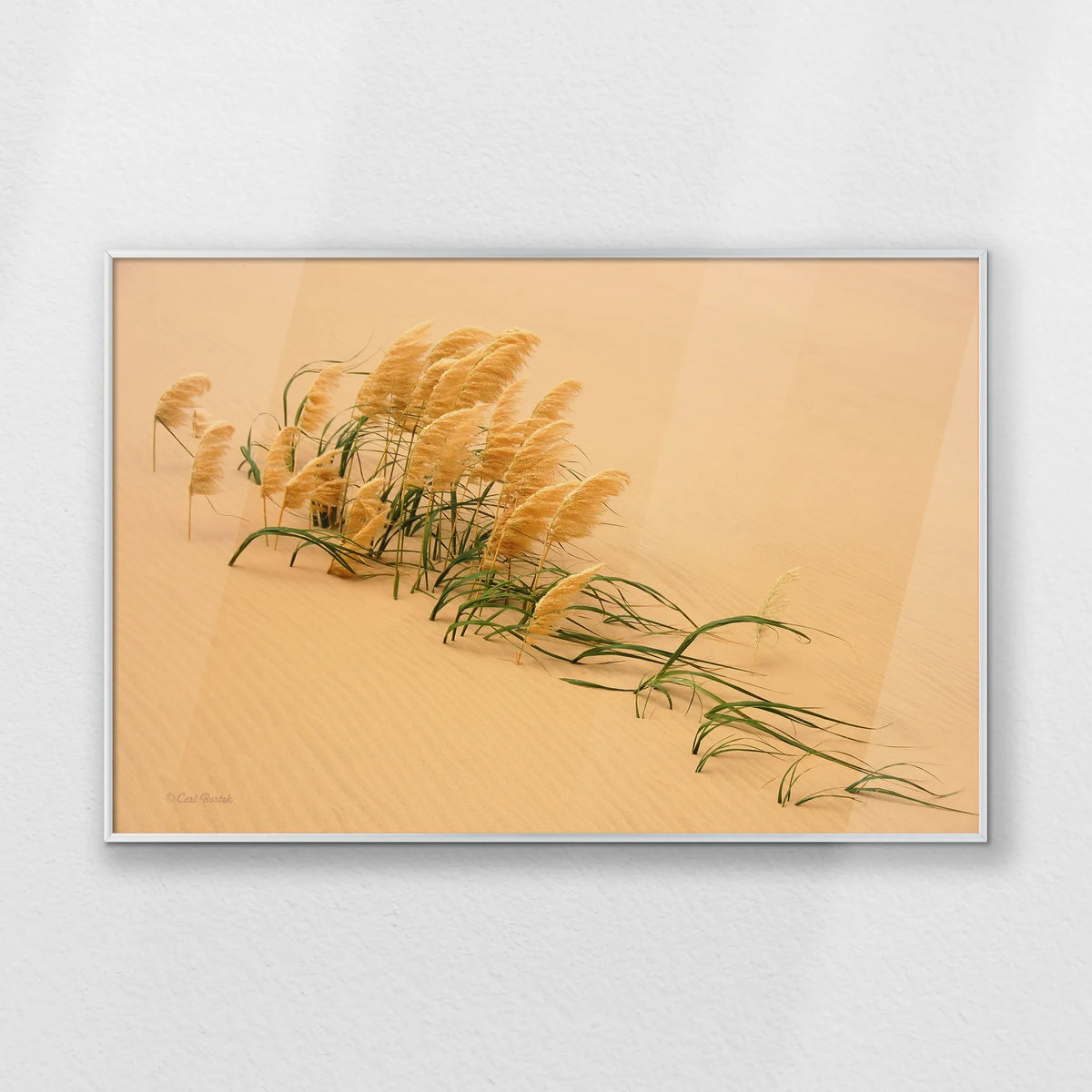 PS-093W062