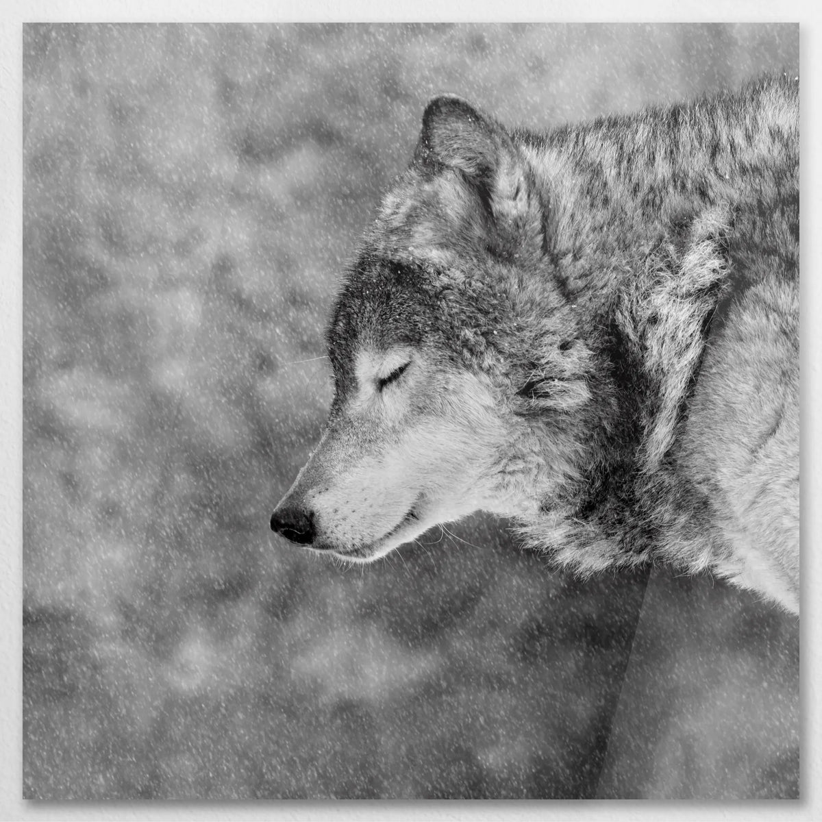 AC-090W090