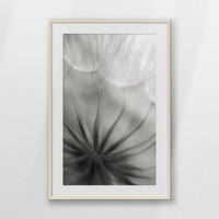 PNP070W100