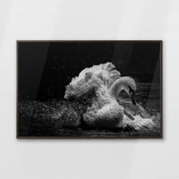 LWN120W080