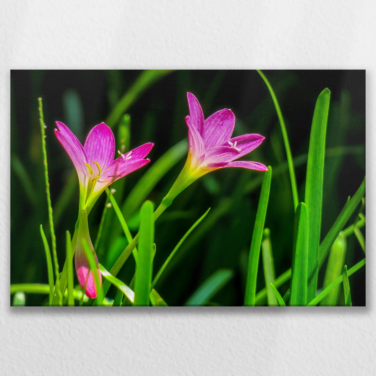 LW-075W050