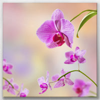 LW-060W060