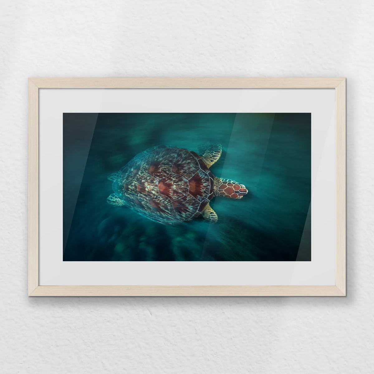 PNP060W040