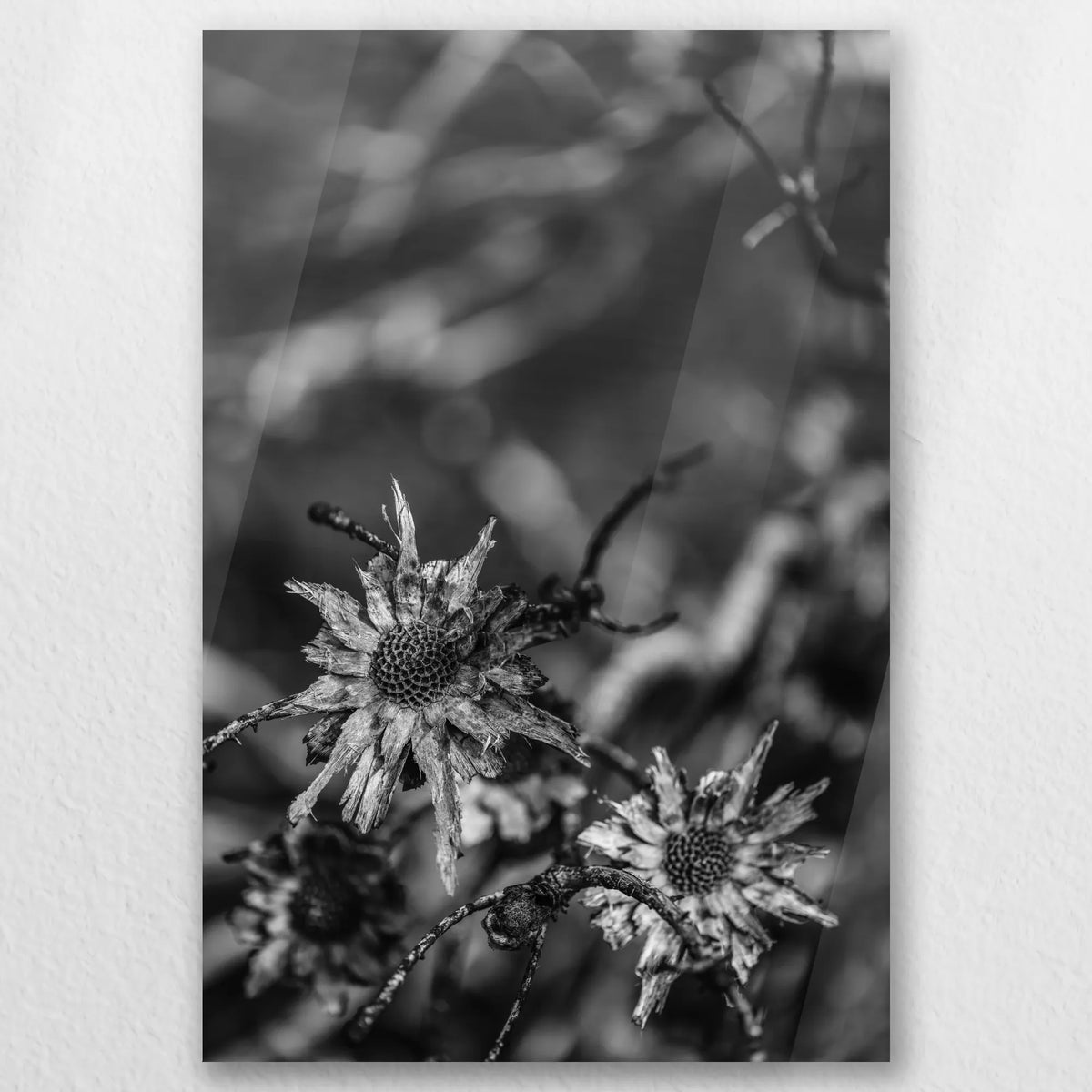 AC-030W045