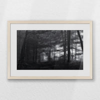 PNP060W040