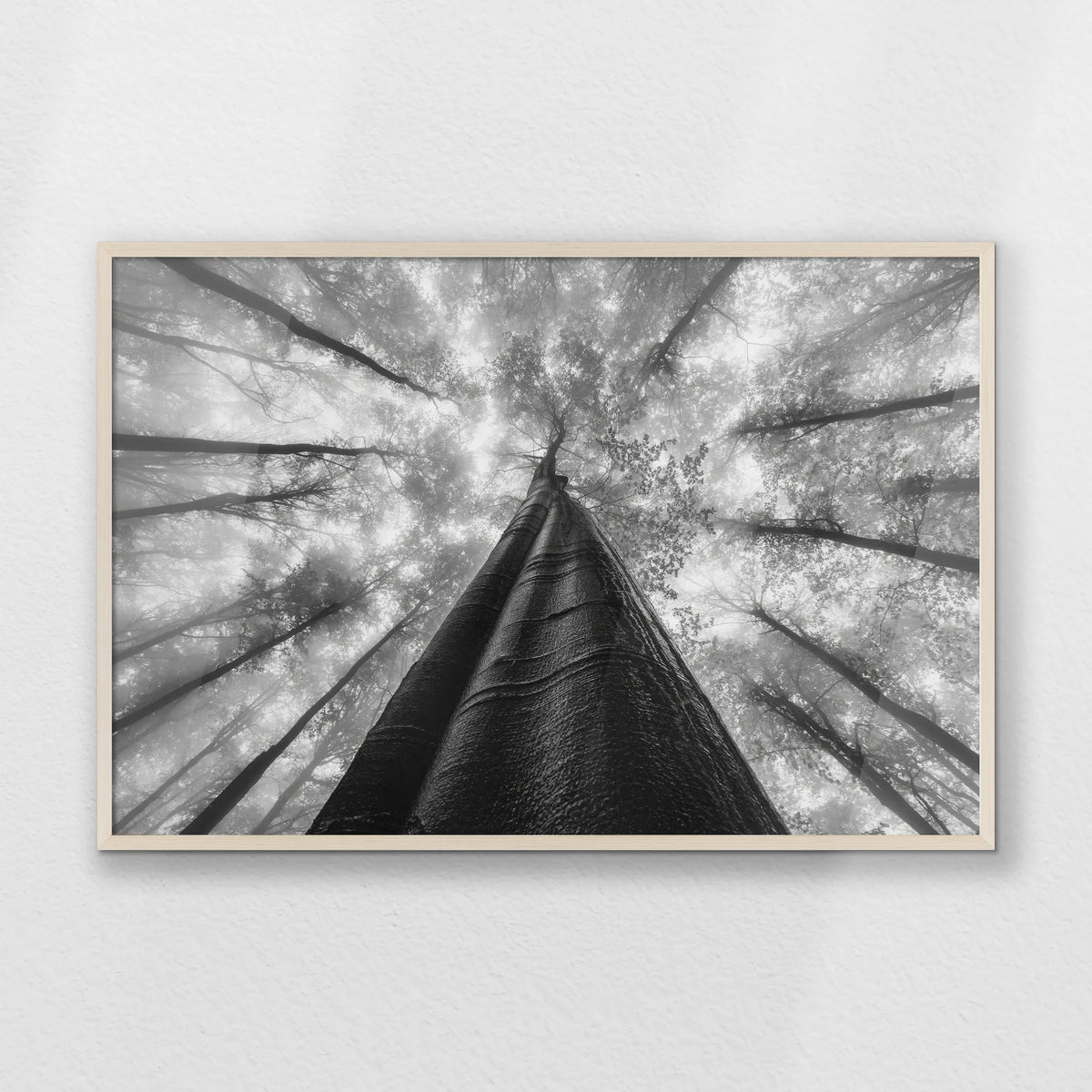 PN-100W070