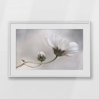 PWP093W062