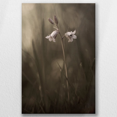 LW-020W030