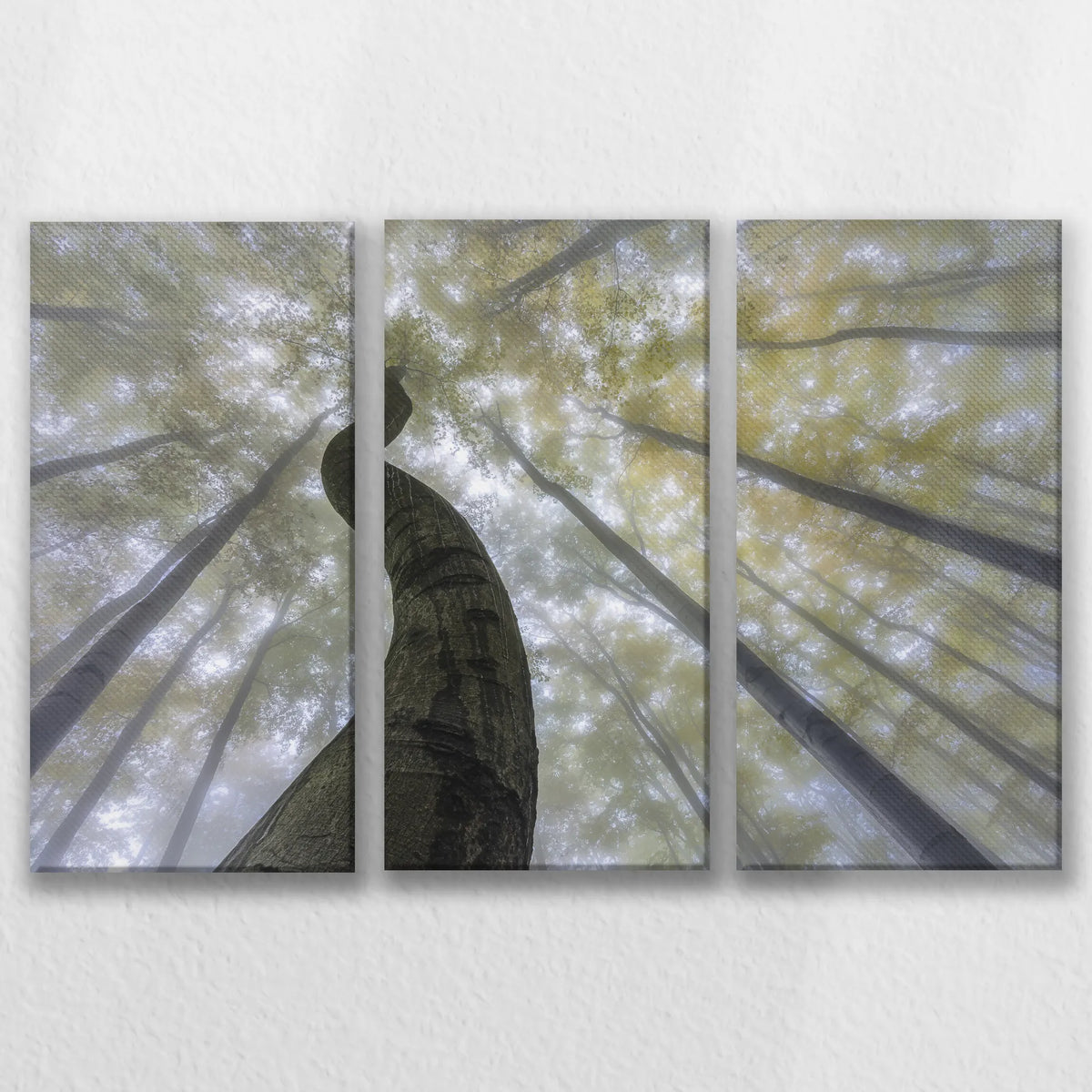 LW-090R060