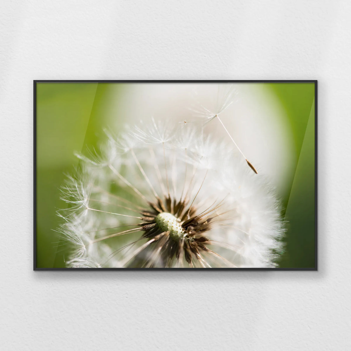 PB-093W062