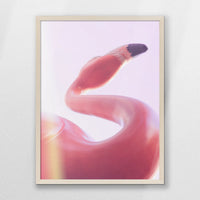 PN-050W070