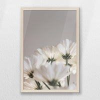 PN-040W060