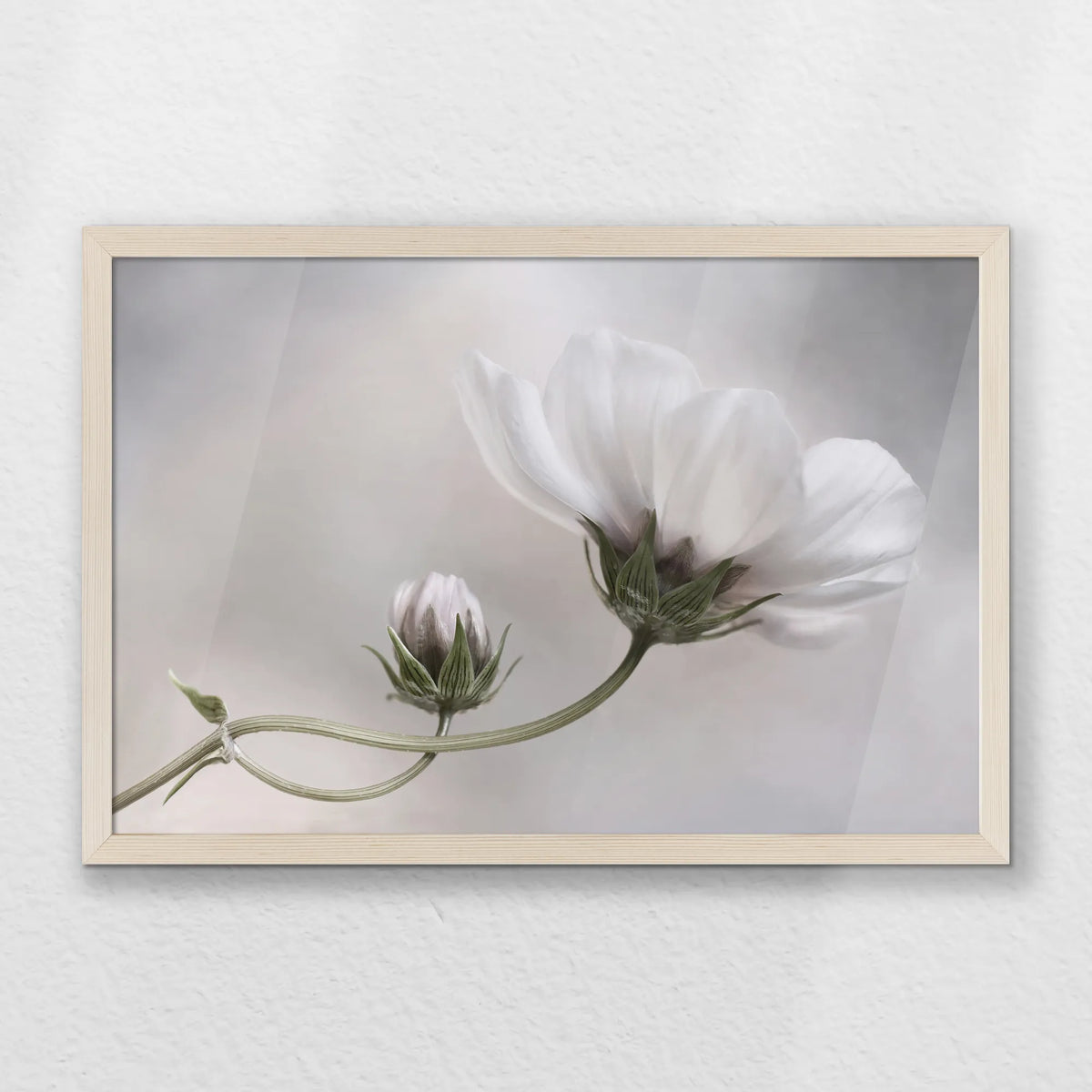 PN-060W040