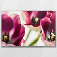 LW-075W050