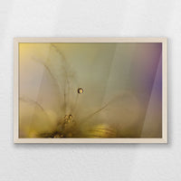 PN-060W040