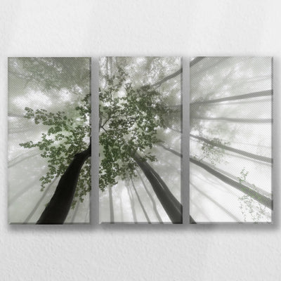 LW-060R040