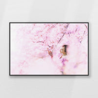 PB-093W062