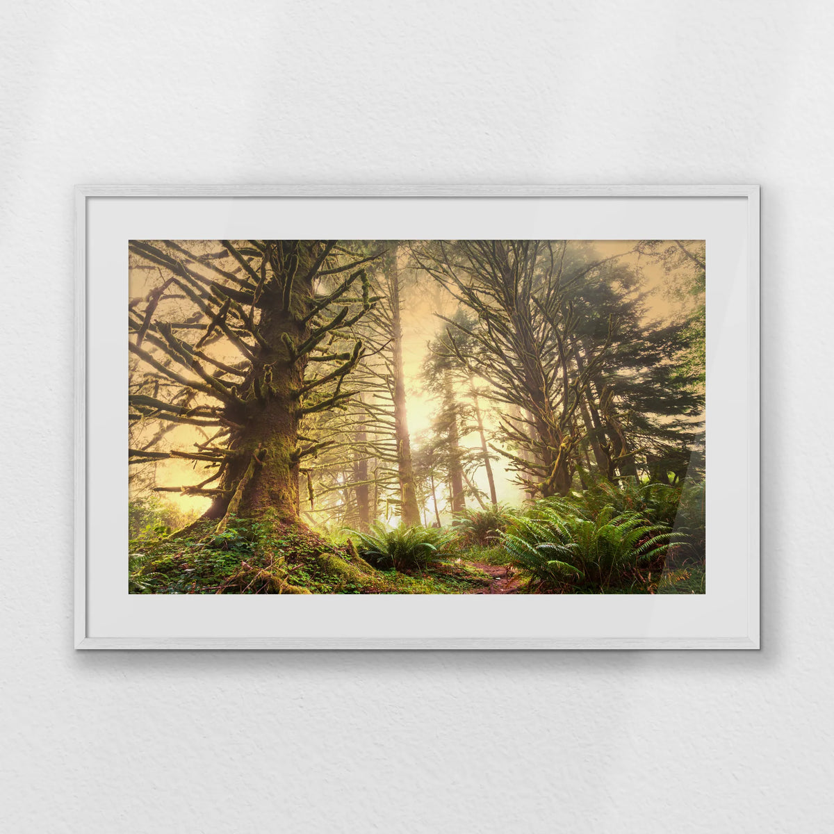 PWP100W070