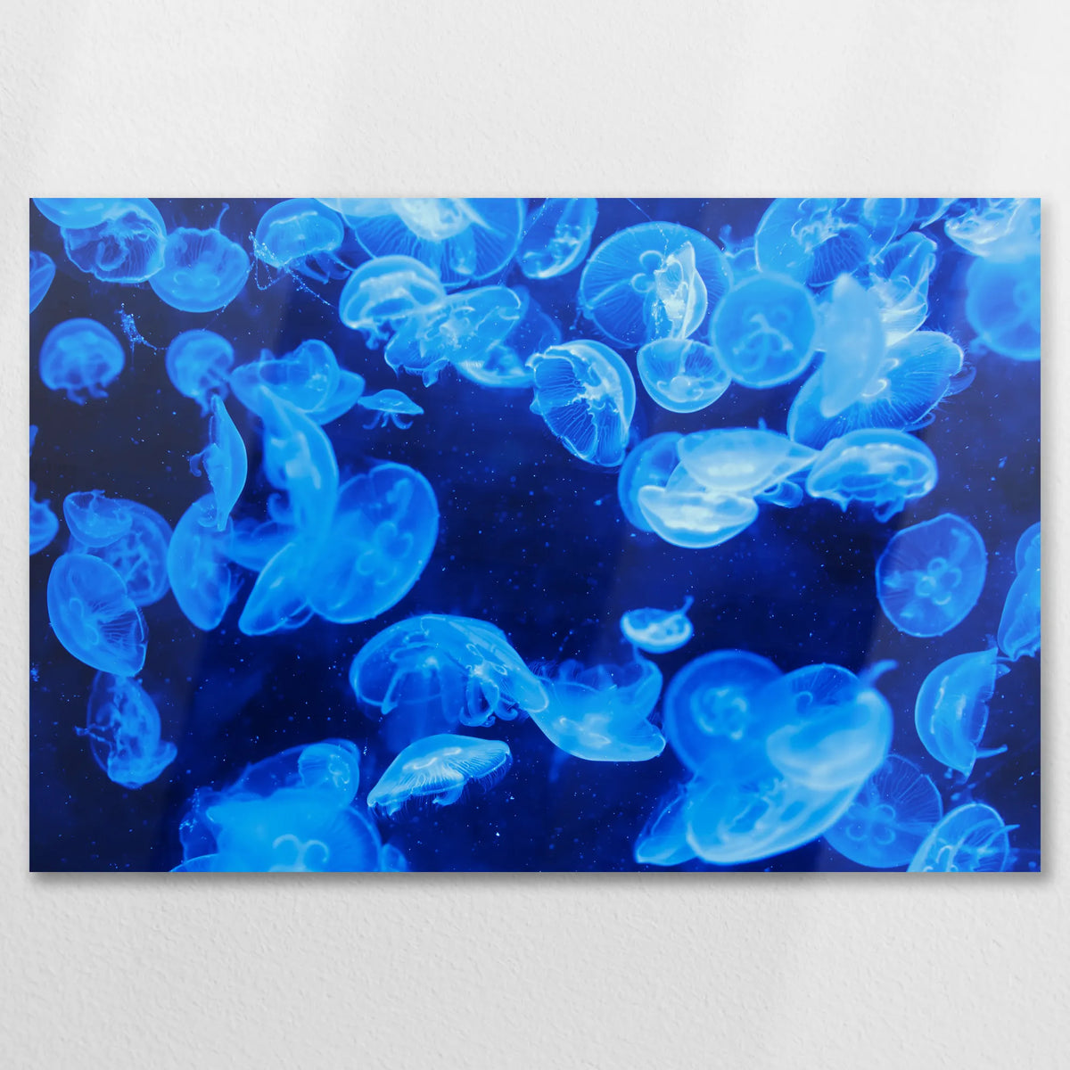 AL-090W060