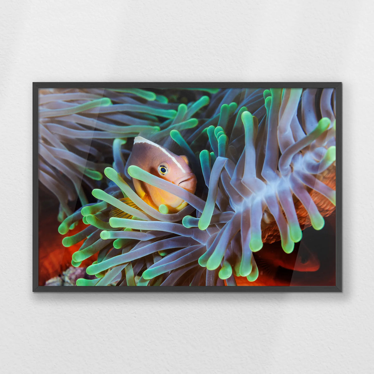 PK-093W062